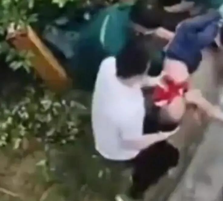 第344页